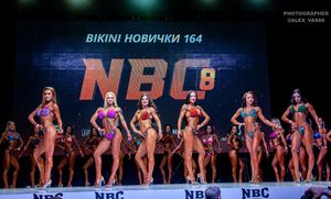 BIKINI НОВИЧКИ 164